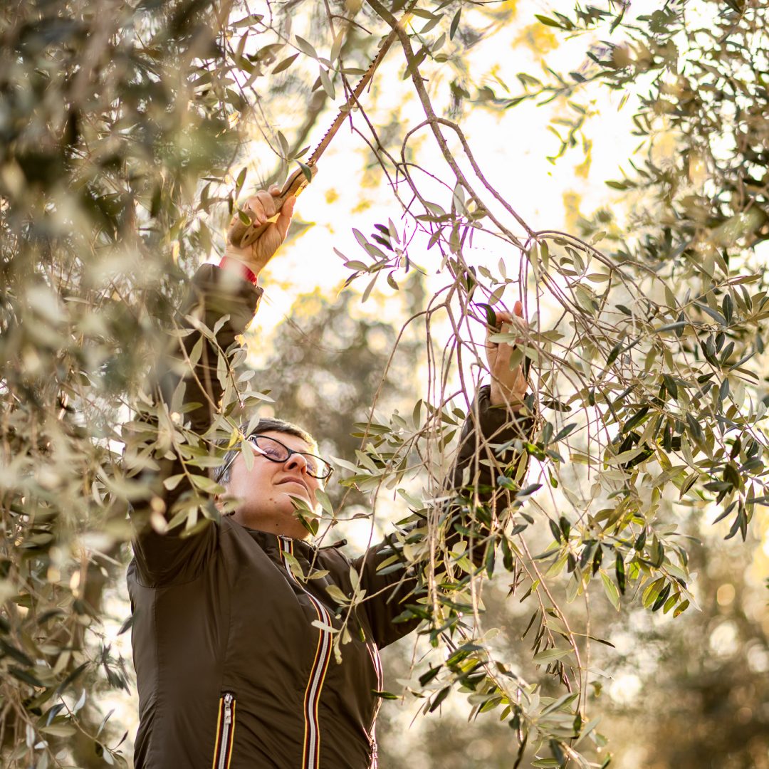 Sorelle Ferri Azienda Agricola Fratenuti