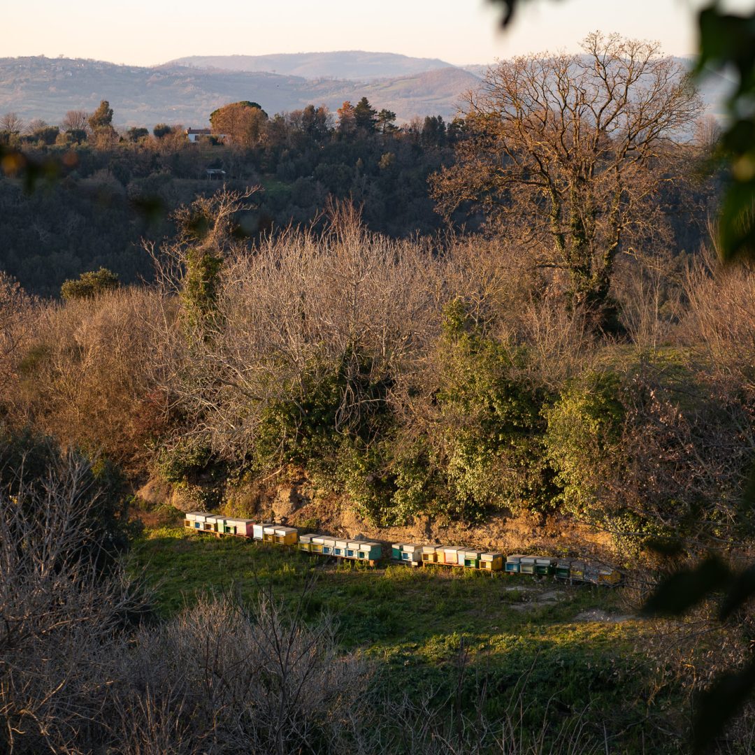 Sorelle Ferri Azienda Agricola Fratenuti